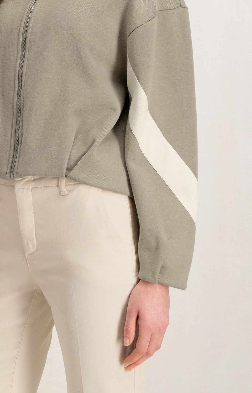 Cardigan with collar, long sleeves, zipper and stripe - Aluminium Beige - Type: closeup