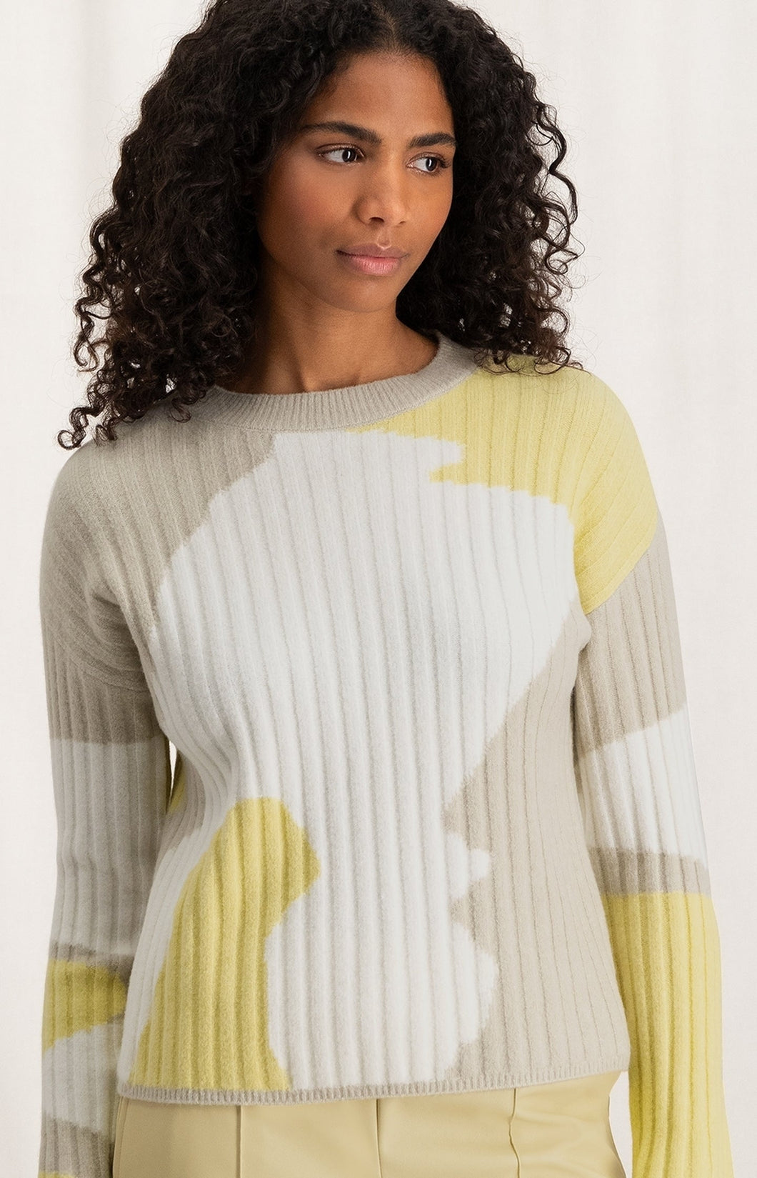 Jacquard sweater with crewneck, long sleeves and rib details - Parsnip Yellow Dessin - Type: closeup
